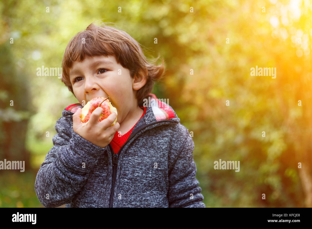 Little boy child kid eating apple fruit autumn fall copyspace nature outdoors Stock Photo