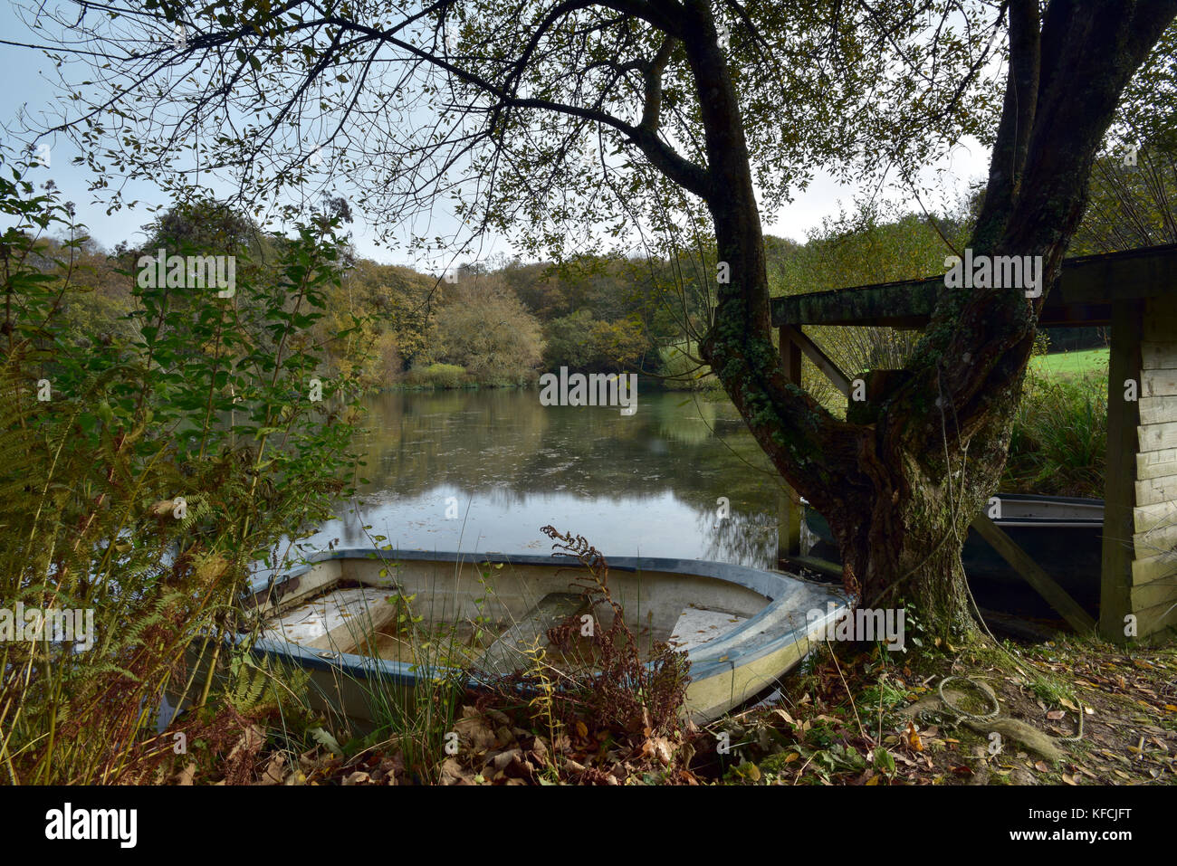 old rowing boats on a lake and autumn leaves reflected in the lake and water, Pinetum park gardens St Austell, Cornwall, UK. Autumn colours reflected Stock Photo