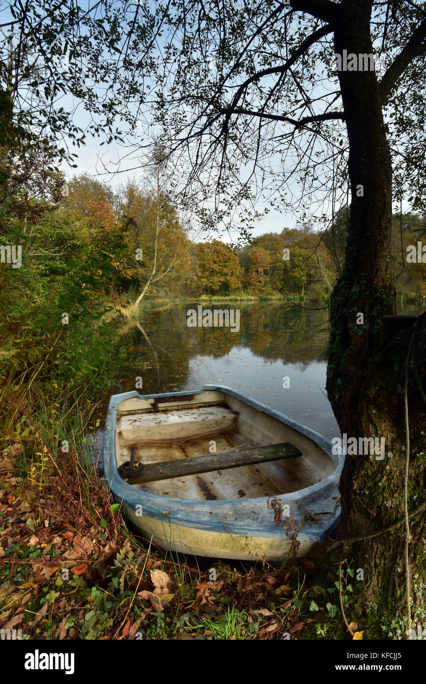 old rowing boats on a lake and autumn leaves reflected in the lake and water, Pinetum park gardens St Austell, Cornwall, UK. Autumn colours reflected Stock Photo