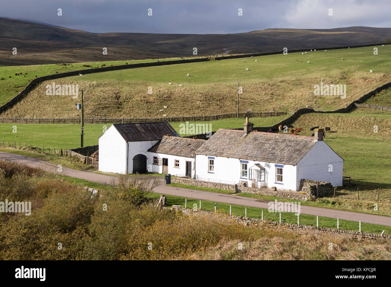 A remote farmhouse at Langdon Beck, Teasdale, County Durham, England, UK Stock Photo