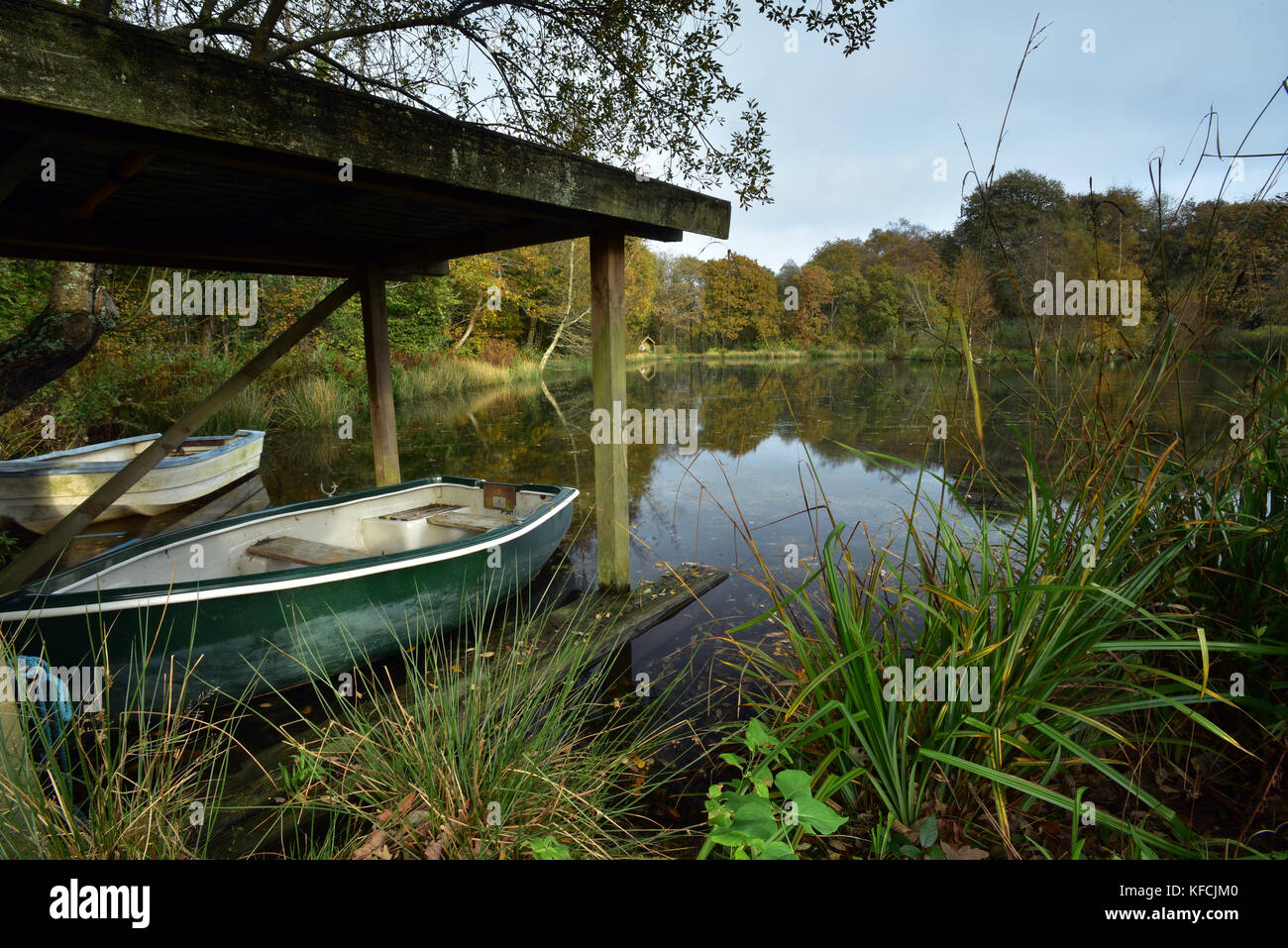 old rowing boats on a lake and autumn leaves reflected in the lake and water, Pinetum park gardens St Austell, Cornwall, UK. Autumn colours reflected Stock Photo