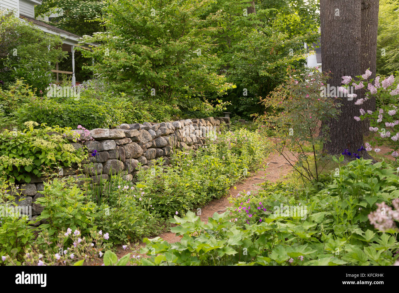Late spring garden, Pentagoet Inn, Castine, Maine, USA Stock Photo