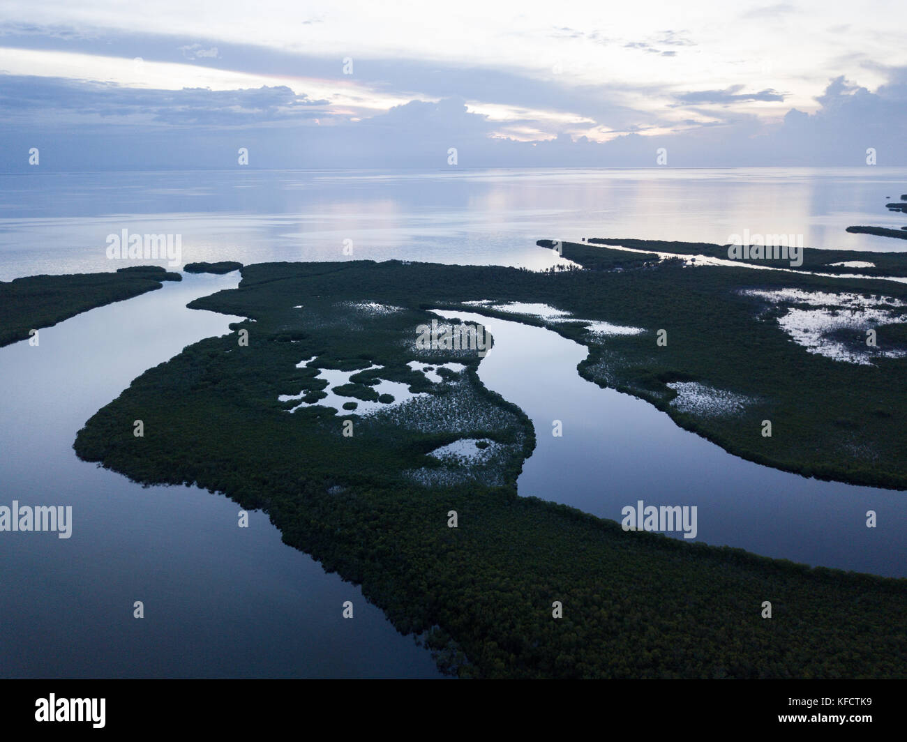 An aerial view shows extensive mangroves in Turneffe Atoll off the ...