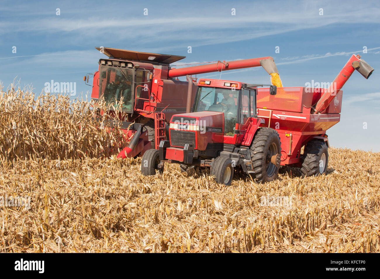 A combine harvesting corn simultaneously loads a grain cart pulled by a tractor on a sunny day on a hill. Stock Photo