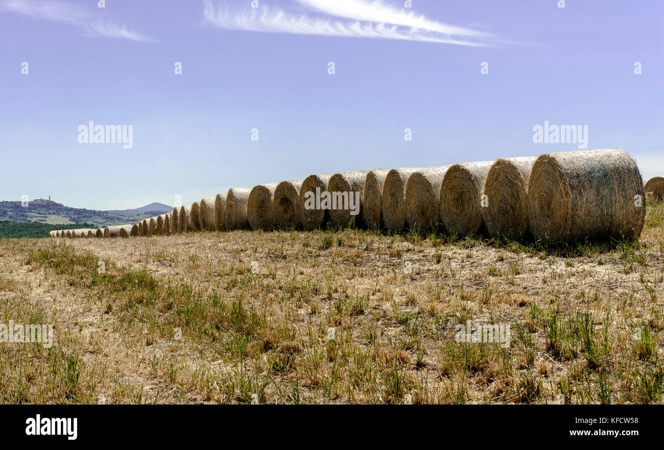 Hay field pictures hi-res stock photography and images - Alamy