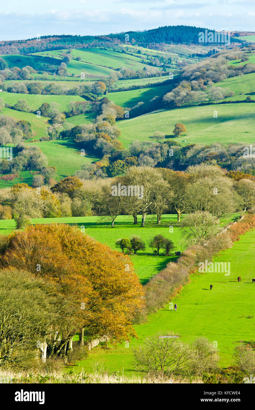 Crook Peak, Near Weston-Super-Mare, Somerset Stock Photo