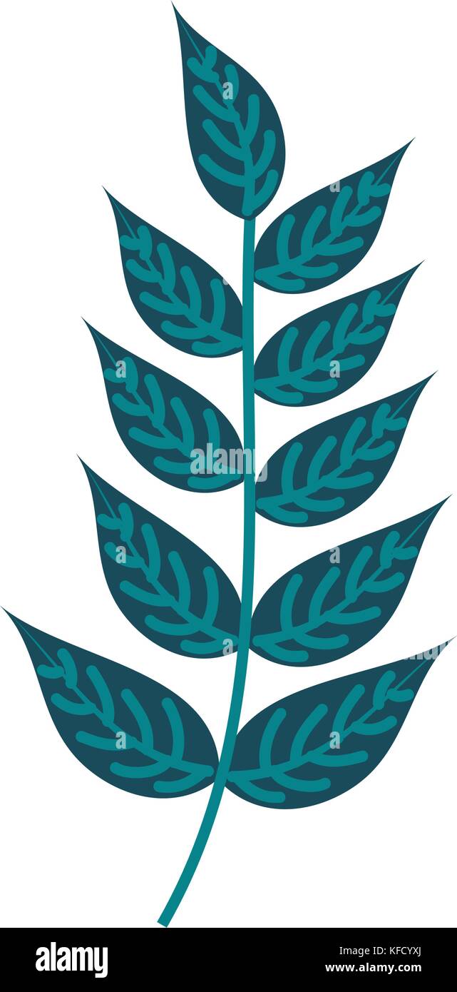 branch plant with leaves natural foliage garden Stock Vector Image ...