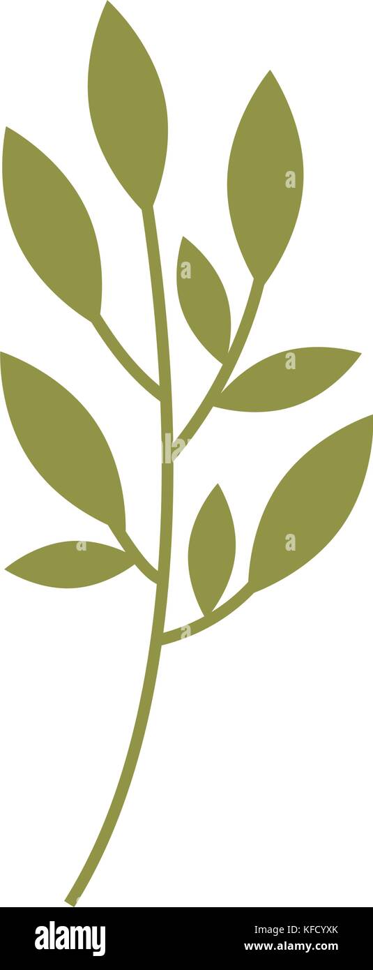 branch plant with leaves natural foliage garden Stock Vector Image ...
