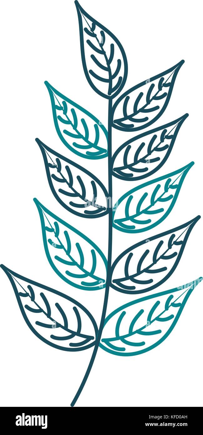 branch plant with leaves natural foliage garden Stock Vector Image ...