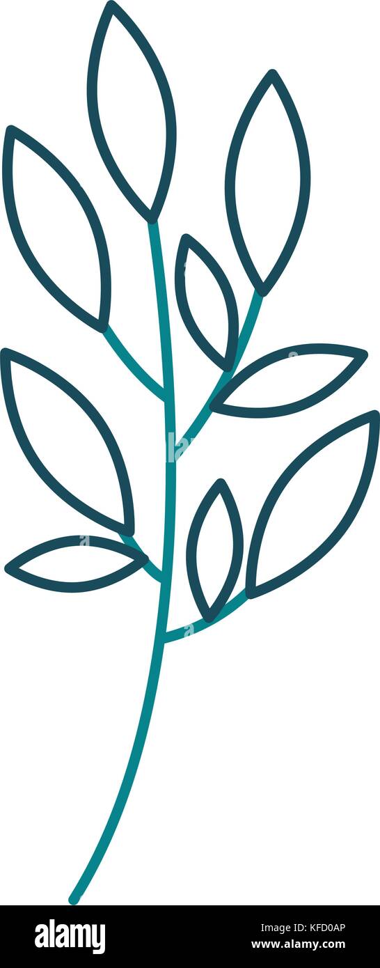 branch plant with leaves natural foliage garden Stock Vector Image ...