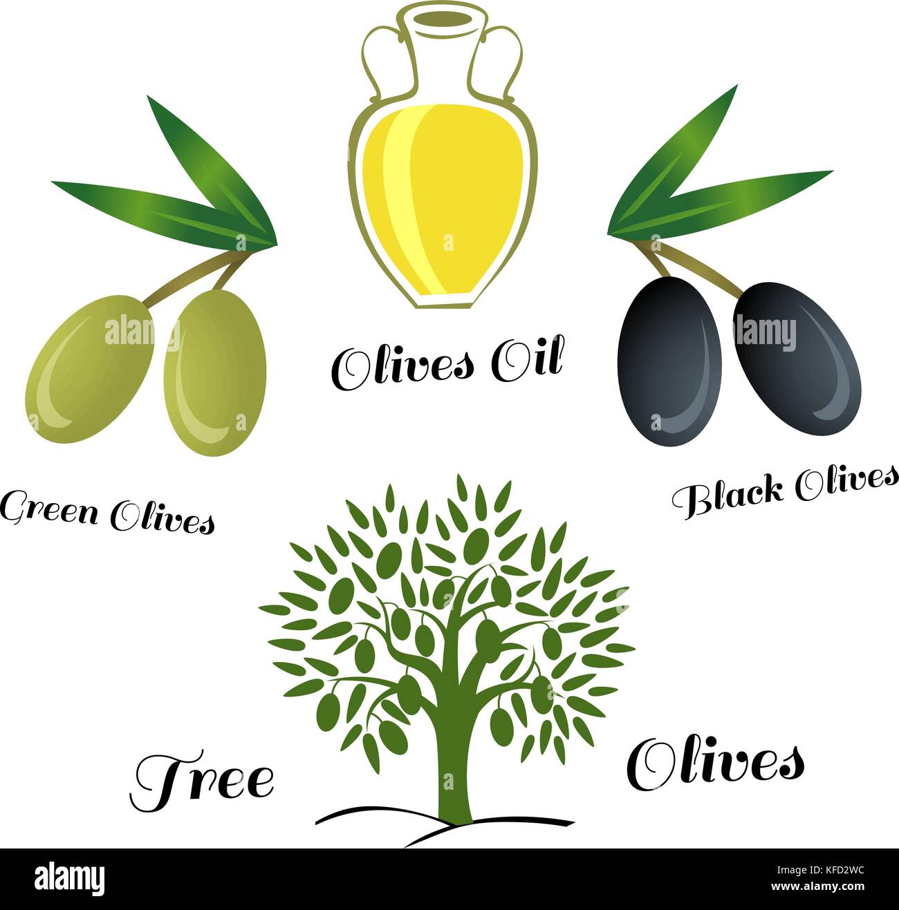 set of elements of olive oil. Branch with green olives Stock Vector Image & Art Alamy