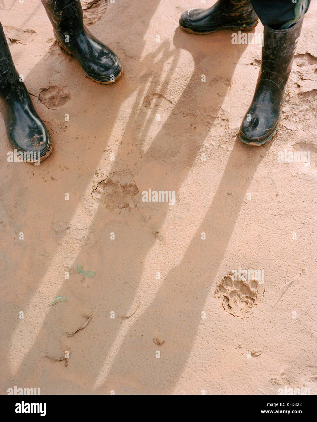 PERU, Amazon Rainforest, South America, Latin America, high angle view of human legs by footprints Stock Photo