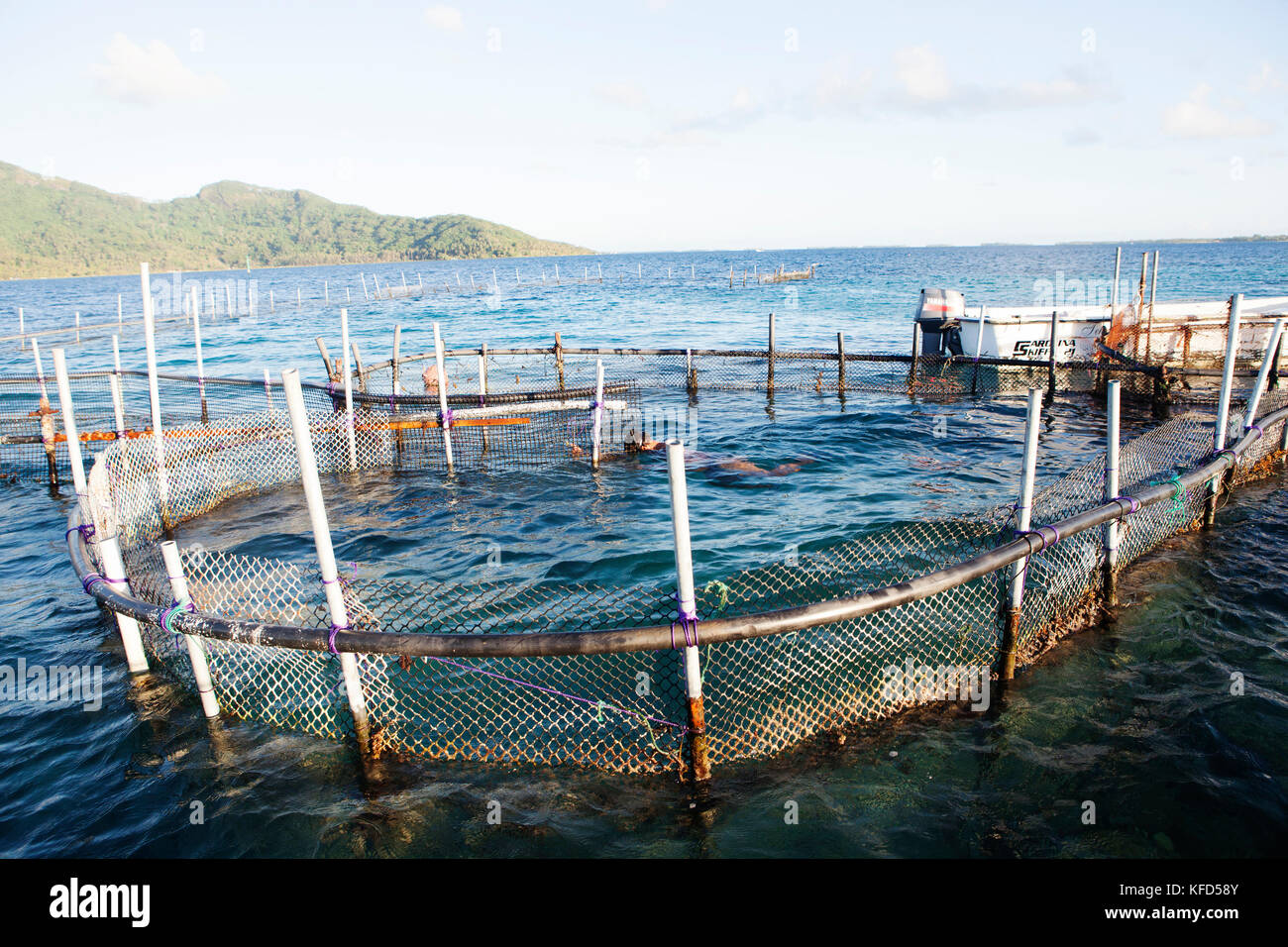 Fish pen hi-res stock photography and images - Alamy