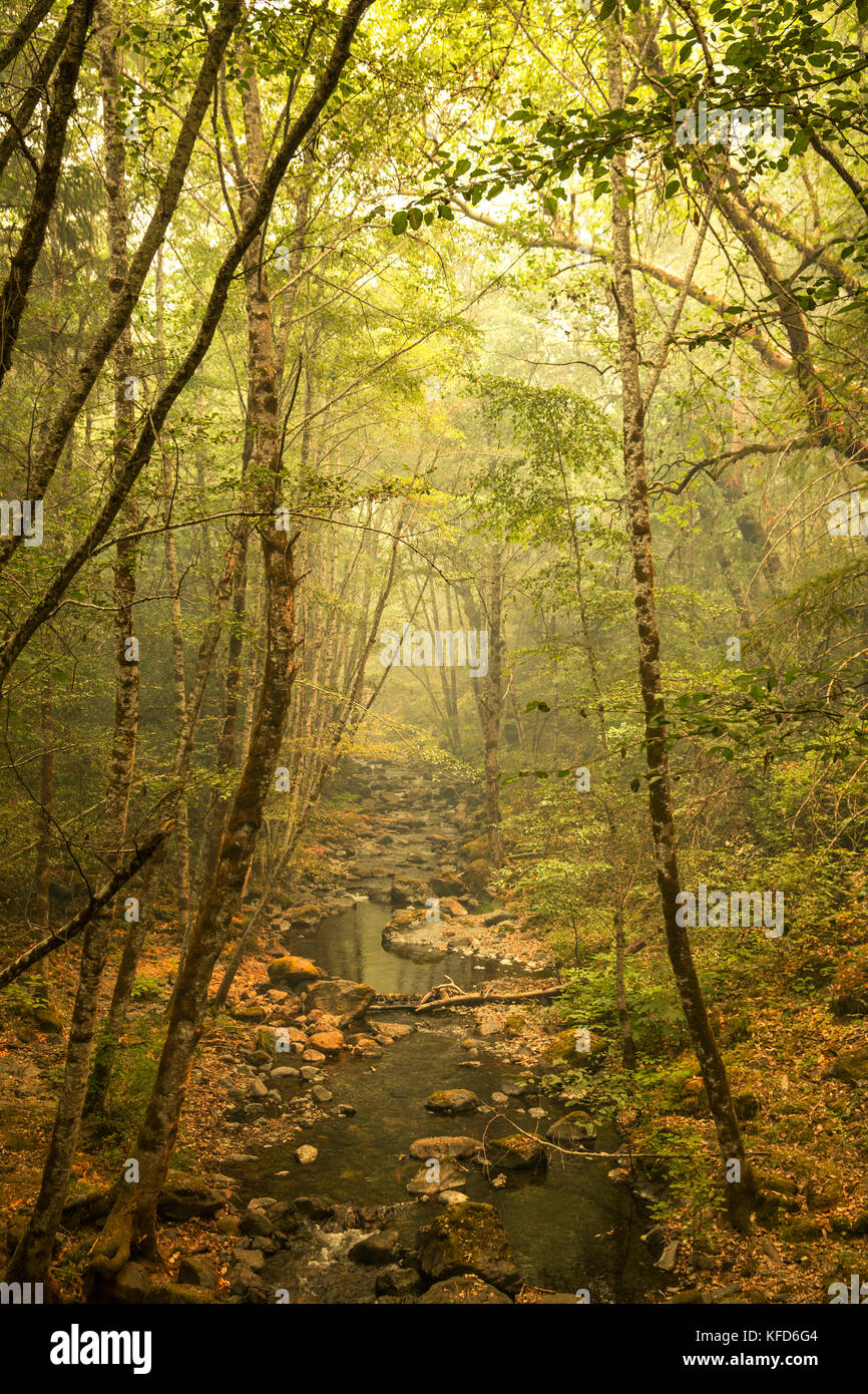 Whiskey Creek Cabin Stock Photos Whiskey Creek Cabin Stock