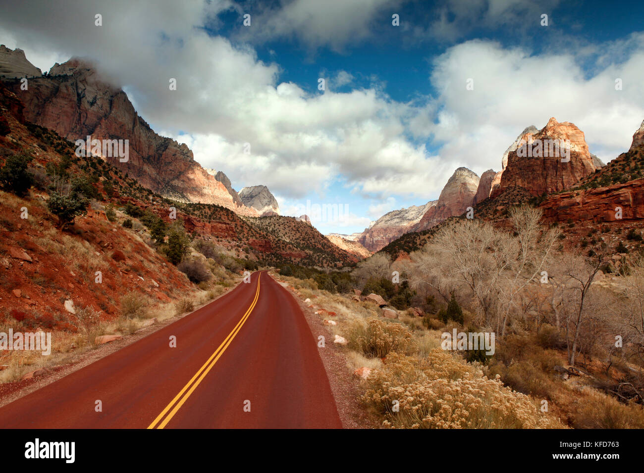 USA, Utah, Springdale, Zion National Park, Zion Canyon Scenic Drive Road winds through the