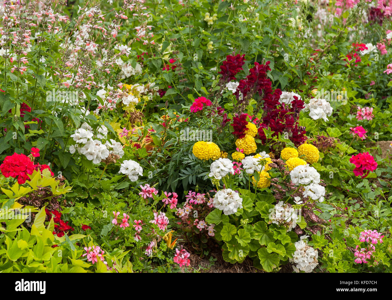 Flower bed with white, yellow, red and pink flowers near the cathedral in Reims, France Stock Photo