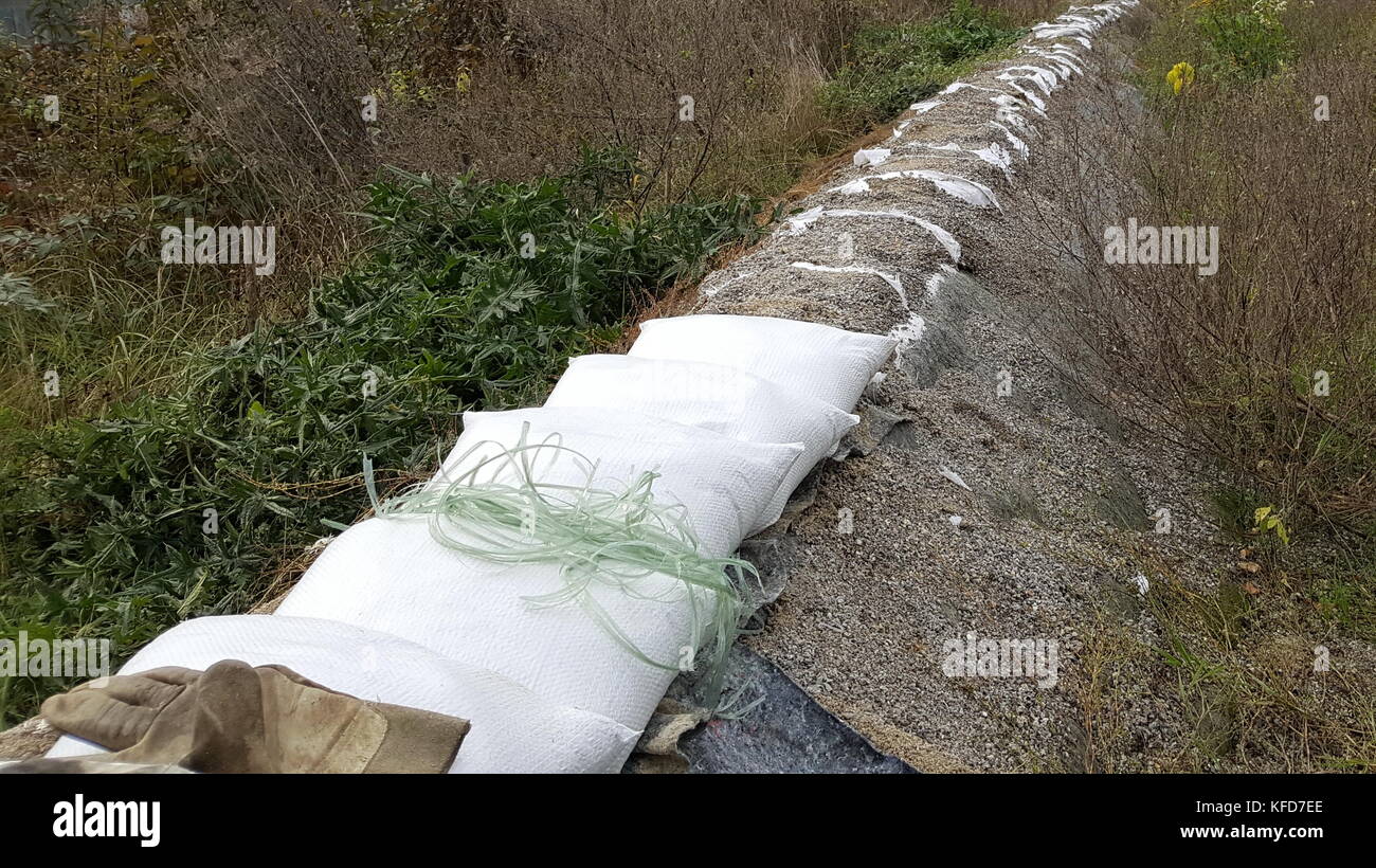 Repairing old sandbags flood protection surrounded with overgrown grass