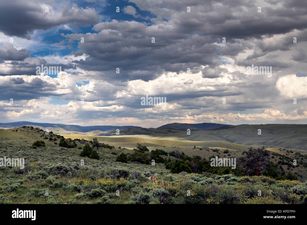 USA, Wyoming, Encampment, open landscape covered in sagebrush and juniper brush, Big Creek Ranch Stock Photo