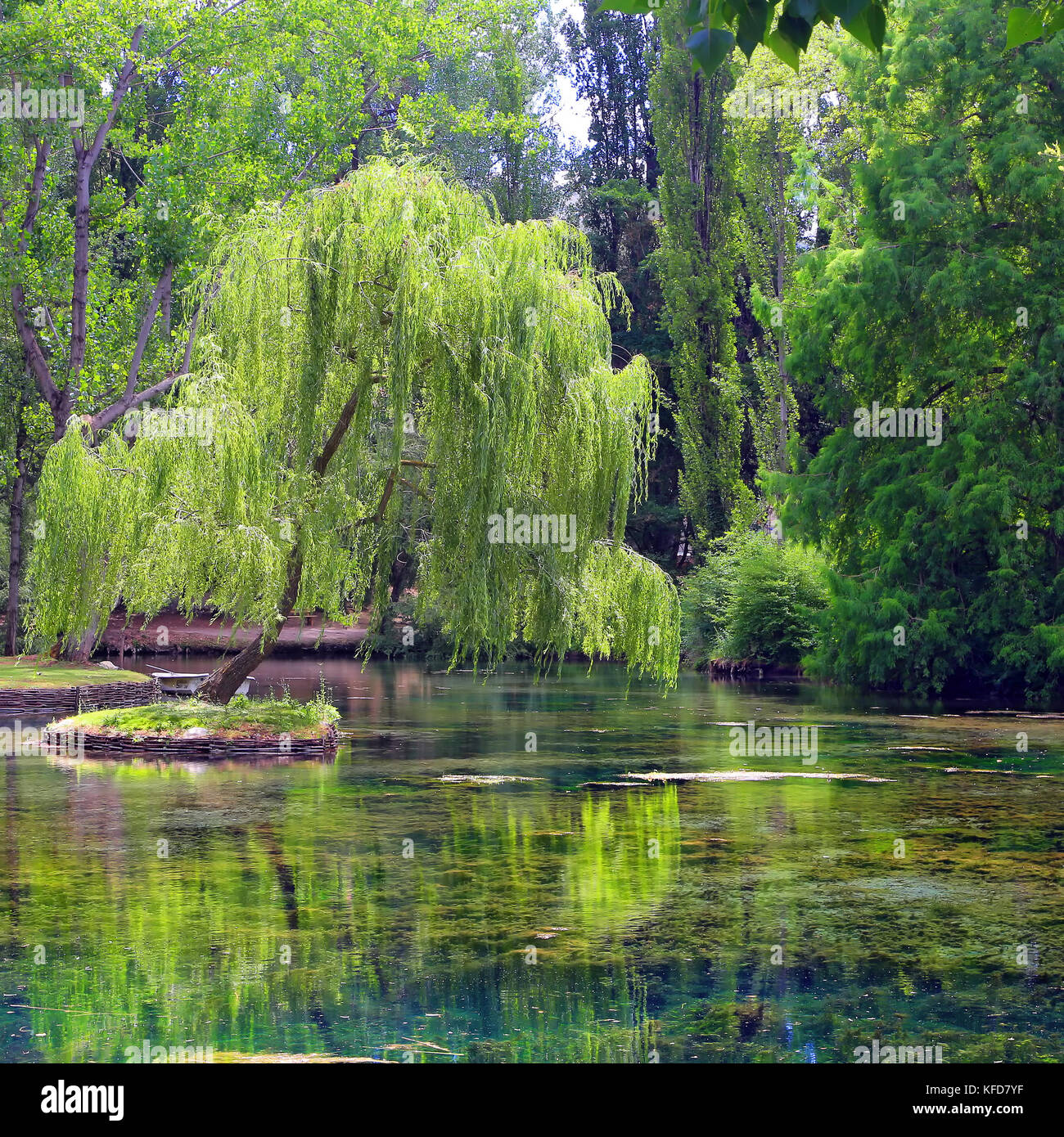 Little isle with willow on the