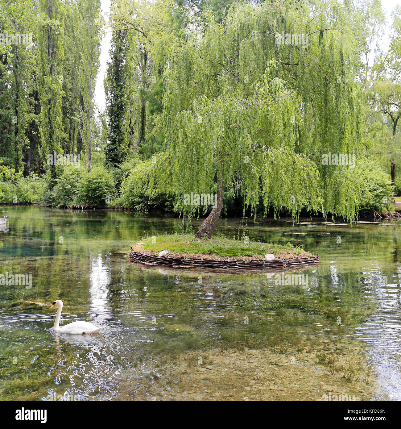 Little isle with willow on the