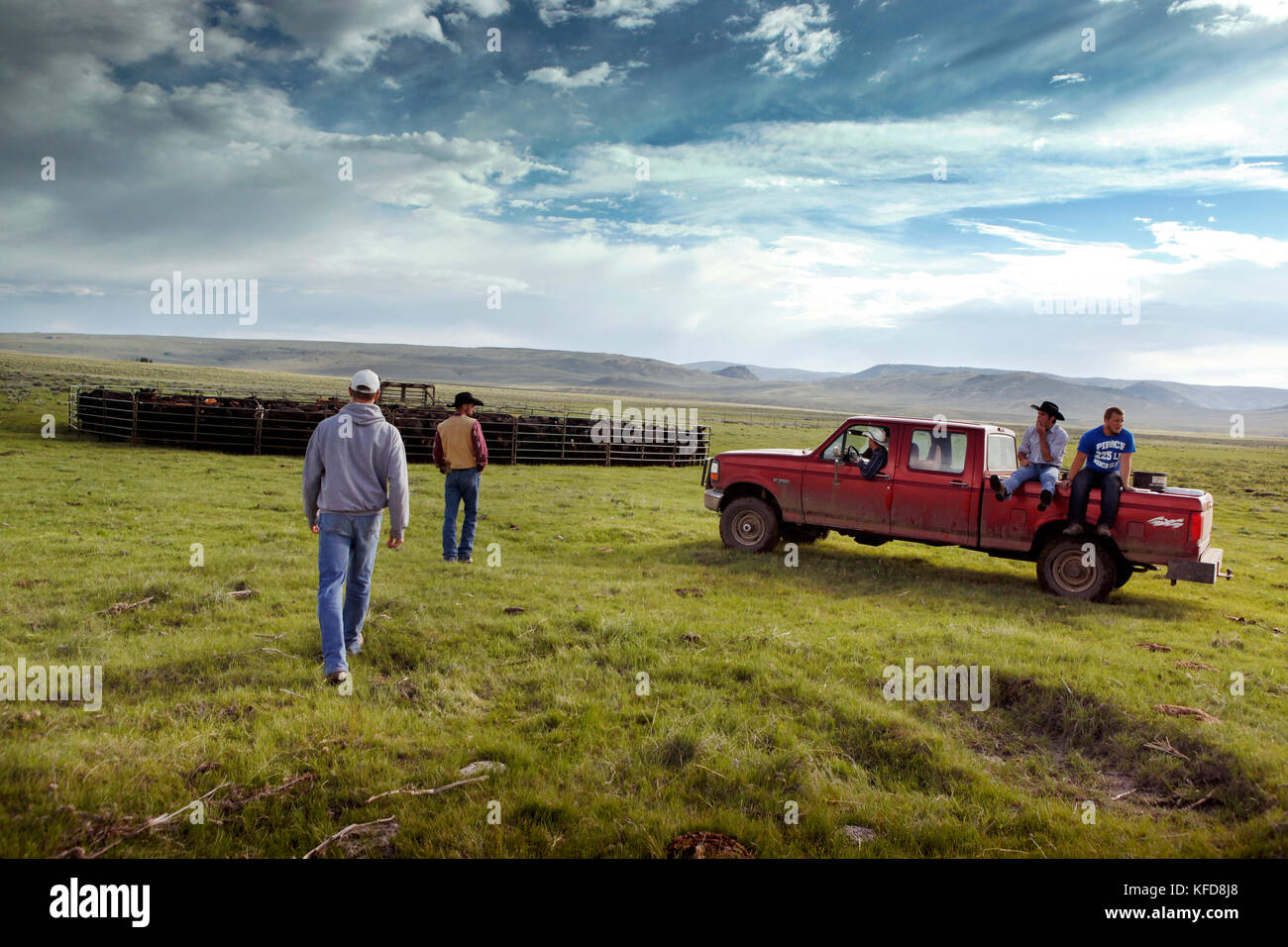 Ranch hands hires stock photography and images Alamy