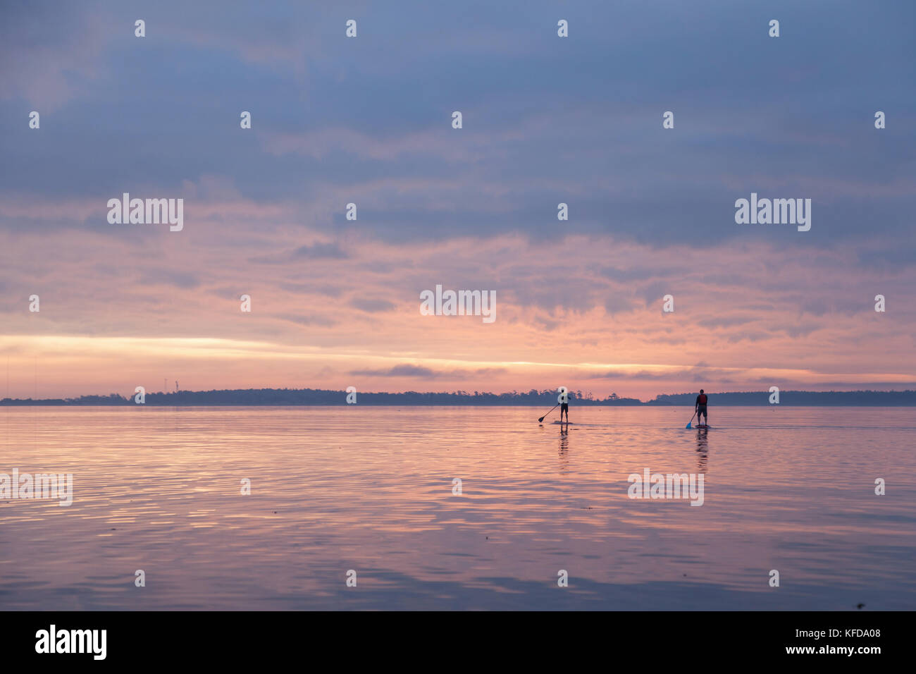 Early morning Paddle Boarders at Willows Beach, Victoria BC Canada Stock Photo