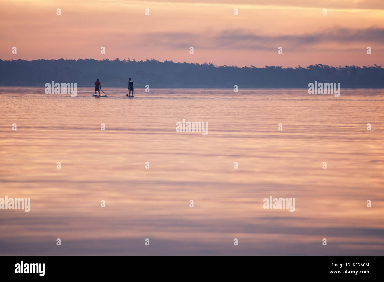 Early morning Paddle Boarders at Willows Beach, Victoria BC Canada Stock Photo