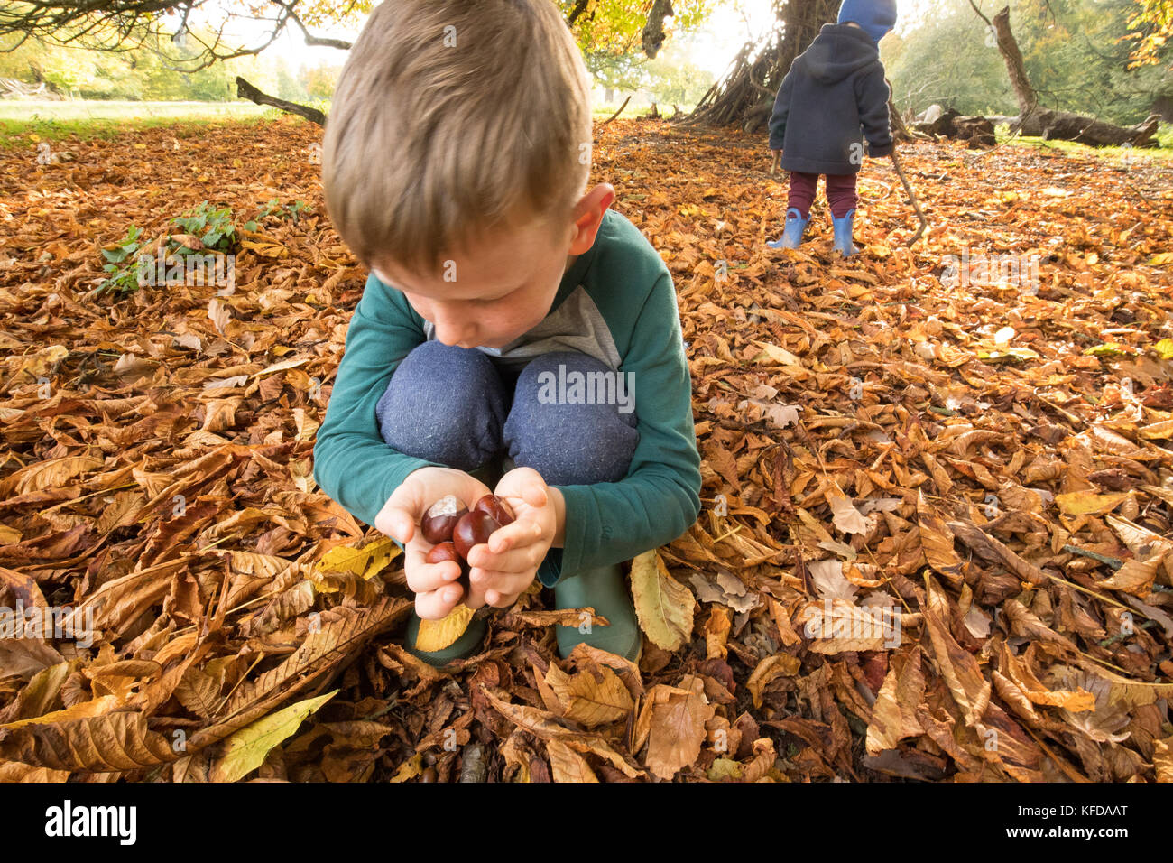 Traditional game of conkers hi-res stock photography and images - Alamy