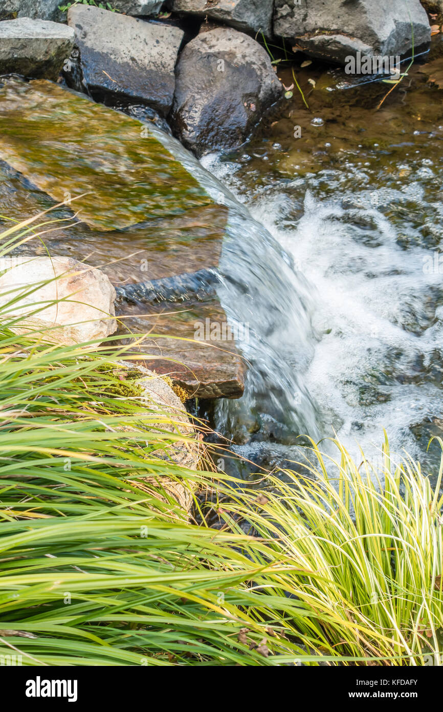 Water rushes in stream hi-res stock photography and images - Alamy