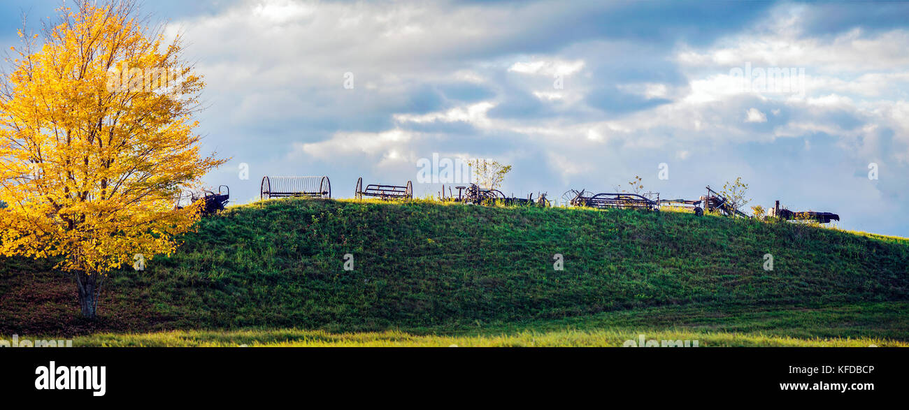 Panorama landscape - vintage farm machines on a hillside beside a Maple tree with vibrant yellow leaves in Landaff, New Hampshire, United States. Stock Photo