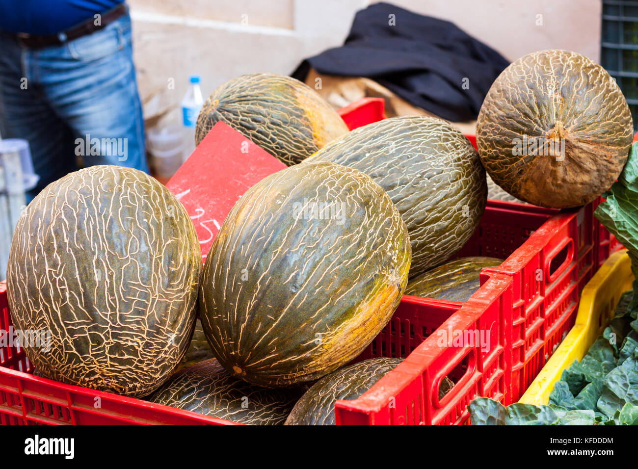 Green oval Santa Claus melons also known as 'piel de sapo' ('toad skin') melons for sale at Sineu market, Majorca, Spain Stock Photo