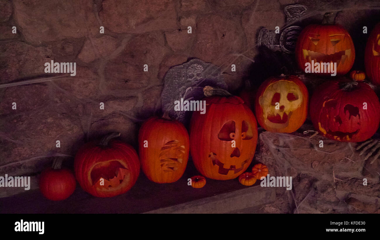 Variety of Jackolanterns carved from orange pumpkins Stock Photo Alamy