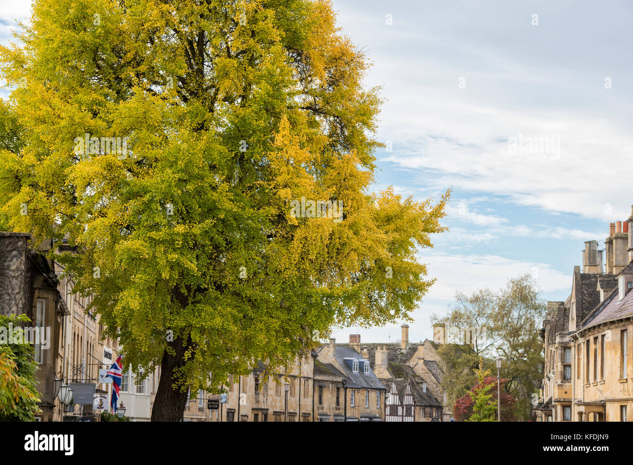 Autumn tree and buildings in the high street. Chipping Campden, Gloucestershire, Cotswolds, England Stock Photo