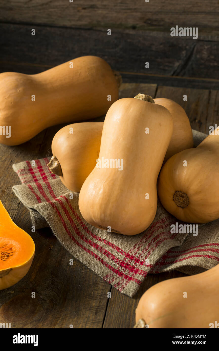 Raw Orange Organic Butternut Squash Ready to Bake Stock Photo