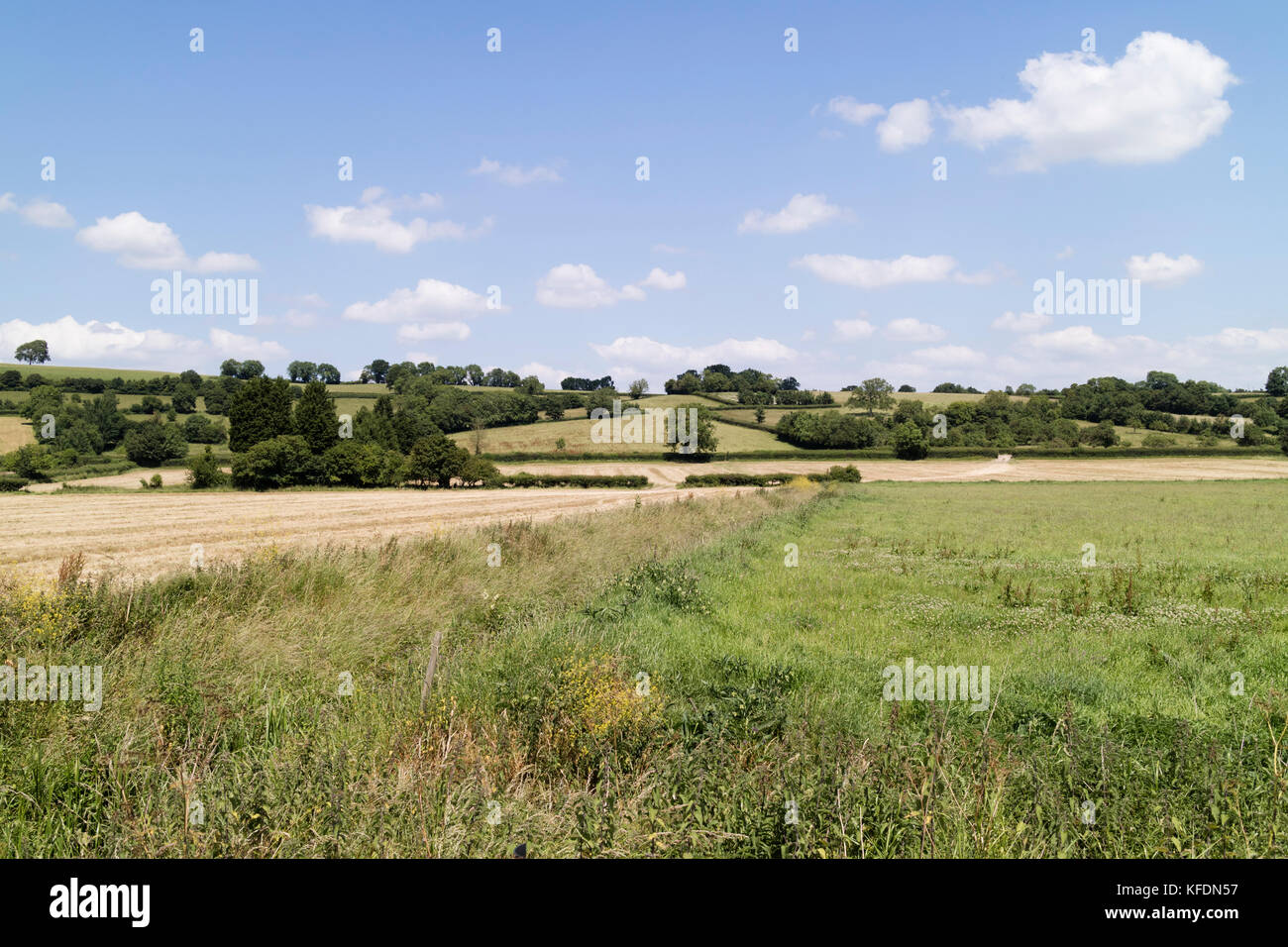 Somerset Farmland - UK Stock Photo