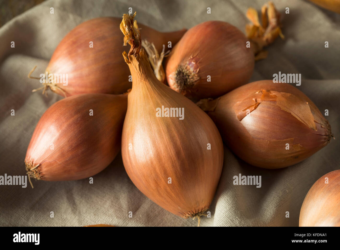 Shallot Stock Photo by ©shirotie 2461435