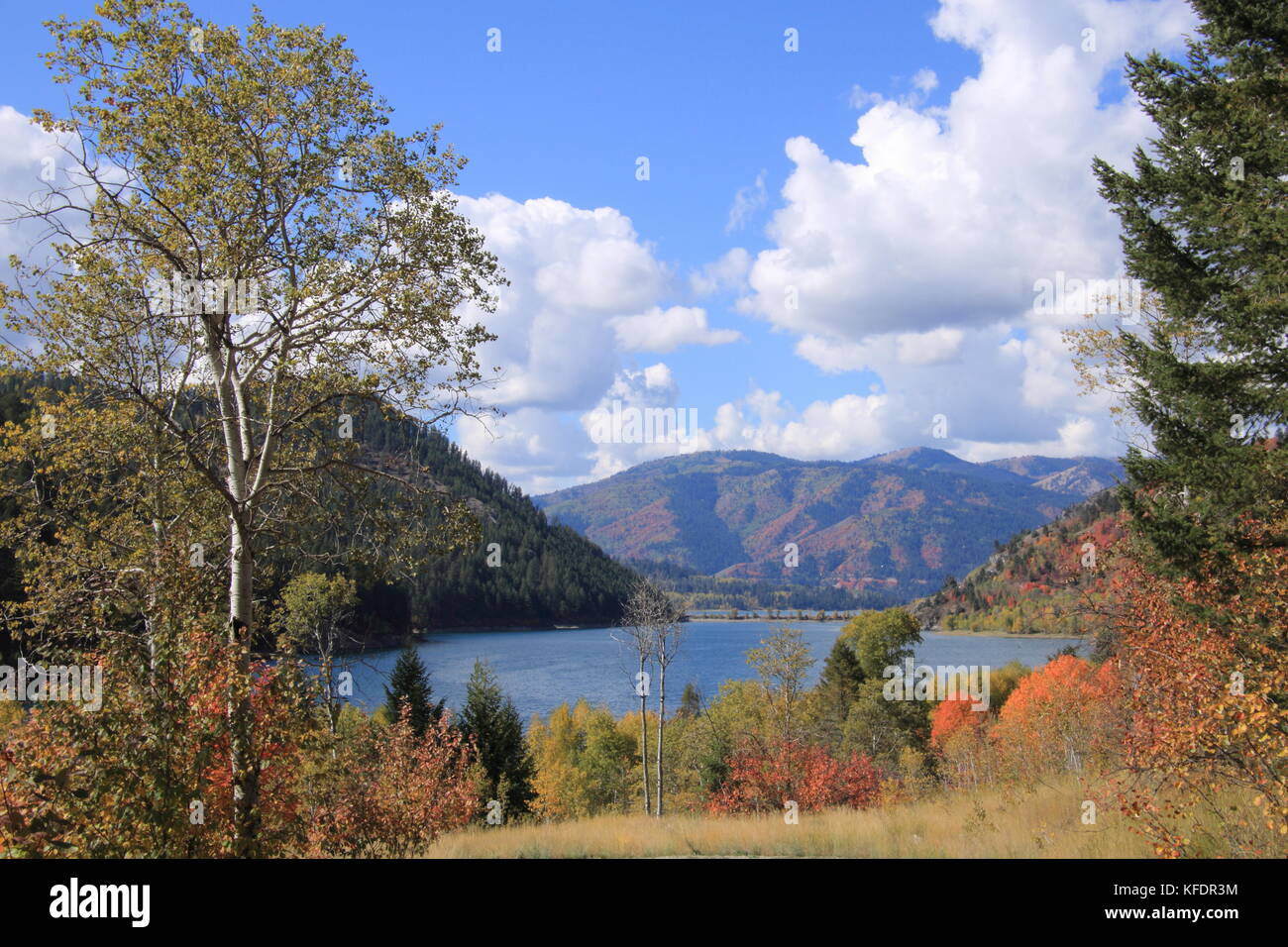 Caribou lake hi-res stock photography and images - Page 3 - Alamy