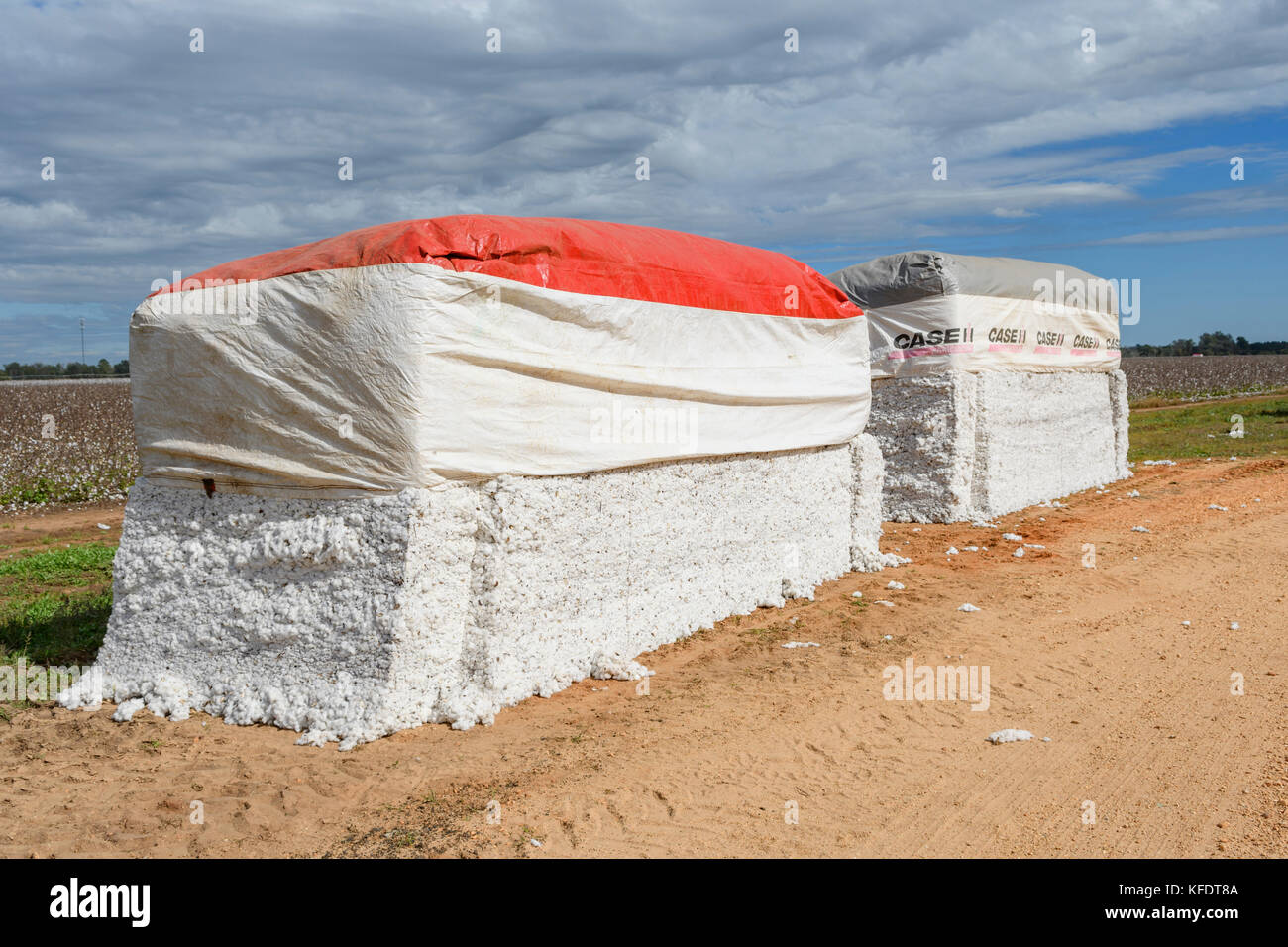 Large freshly picked cotton bales on a farm road in rural central Alabama, USA. Stock Photo