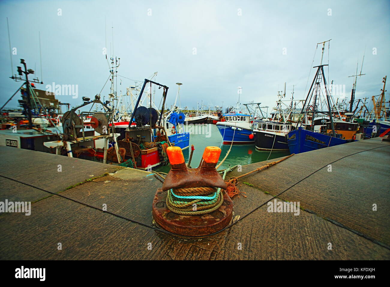 School of fish in the seaweed hires stock photography and images Alamy