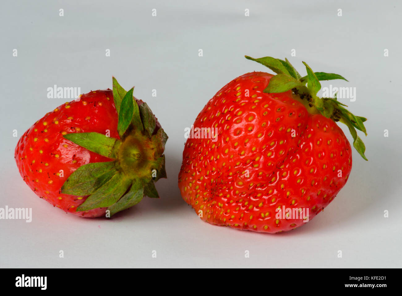 Two strawberries indoor macro Stock Photo - Alamy