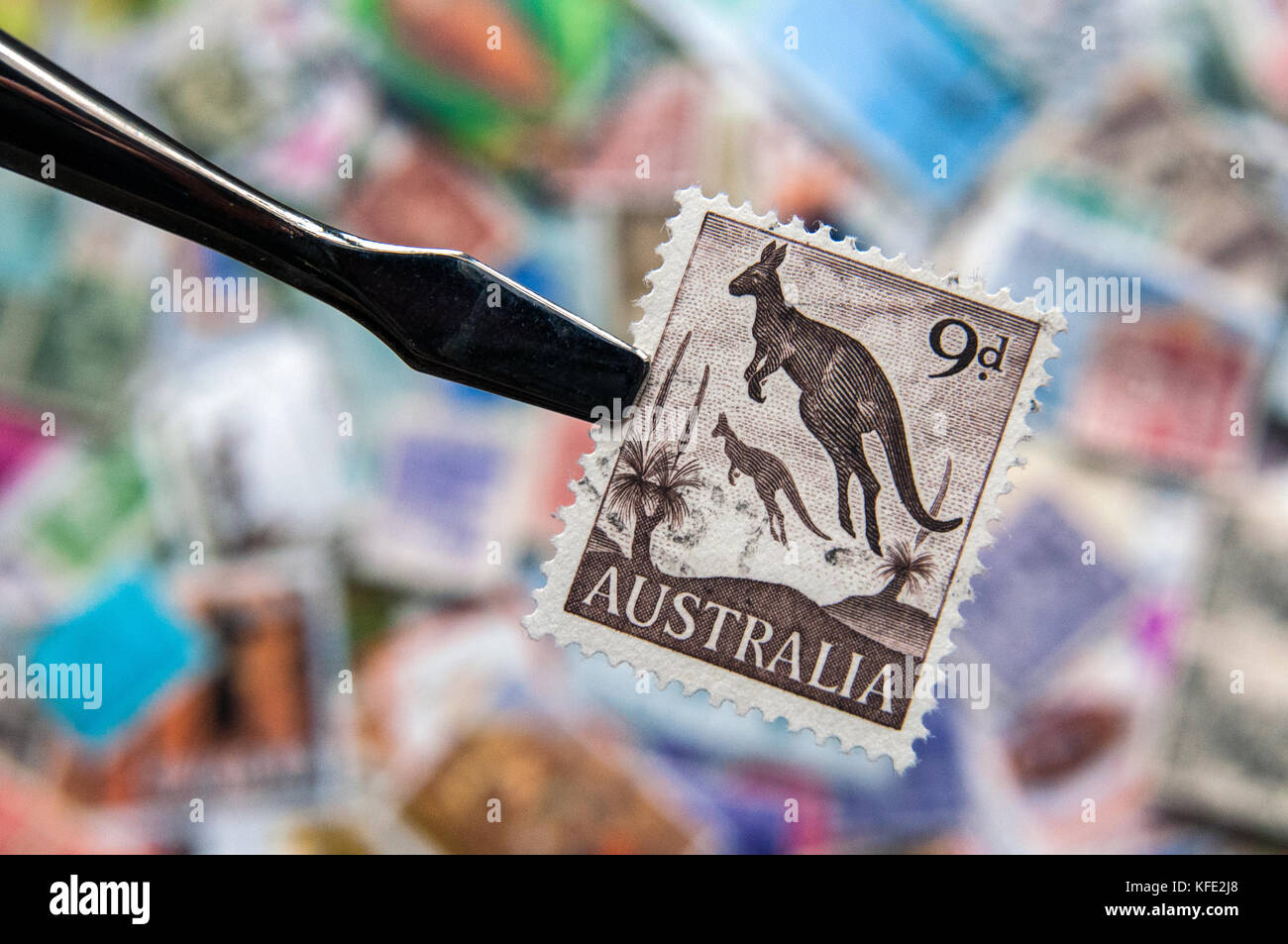 1959-62 Australia 9d. aboriginal kangaroo postage stamp over collection of other stamps Stock Photo