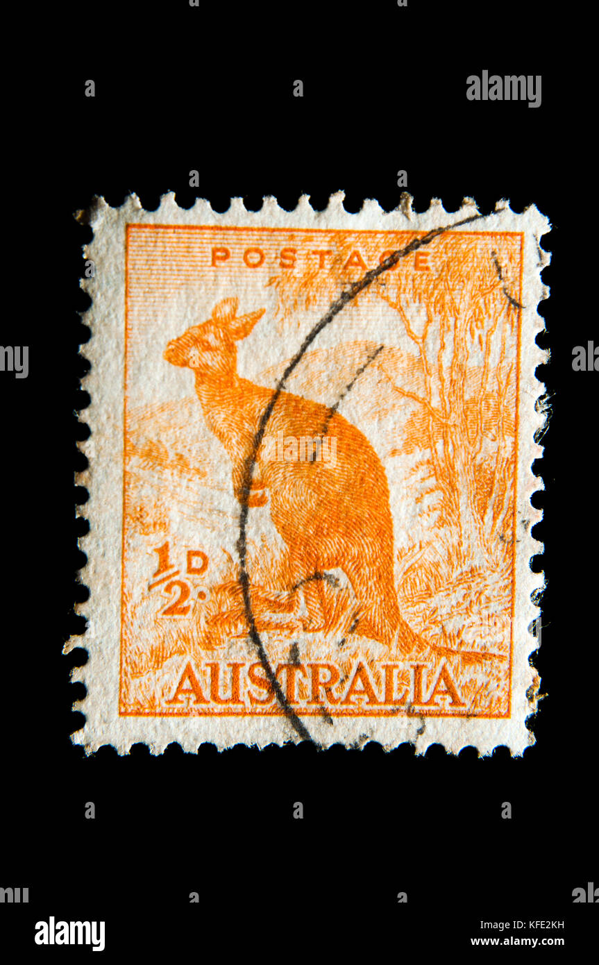 1937 Australia kangaroo 1/2d. postage stamp Stock Photo