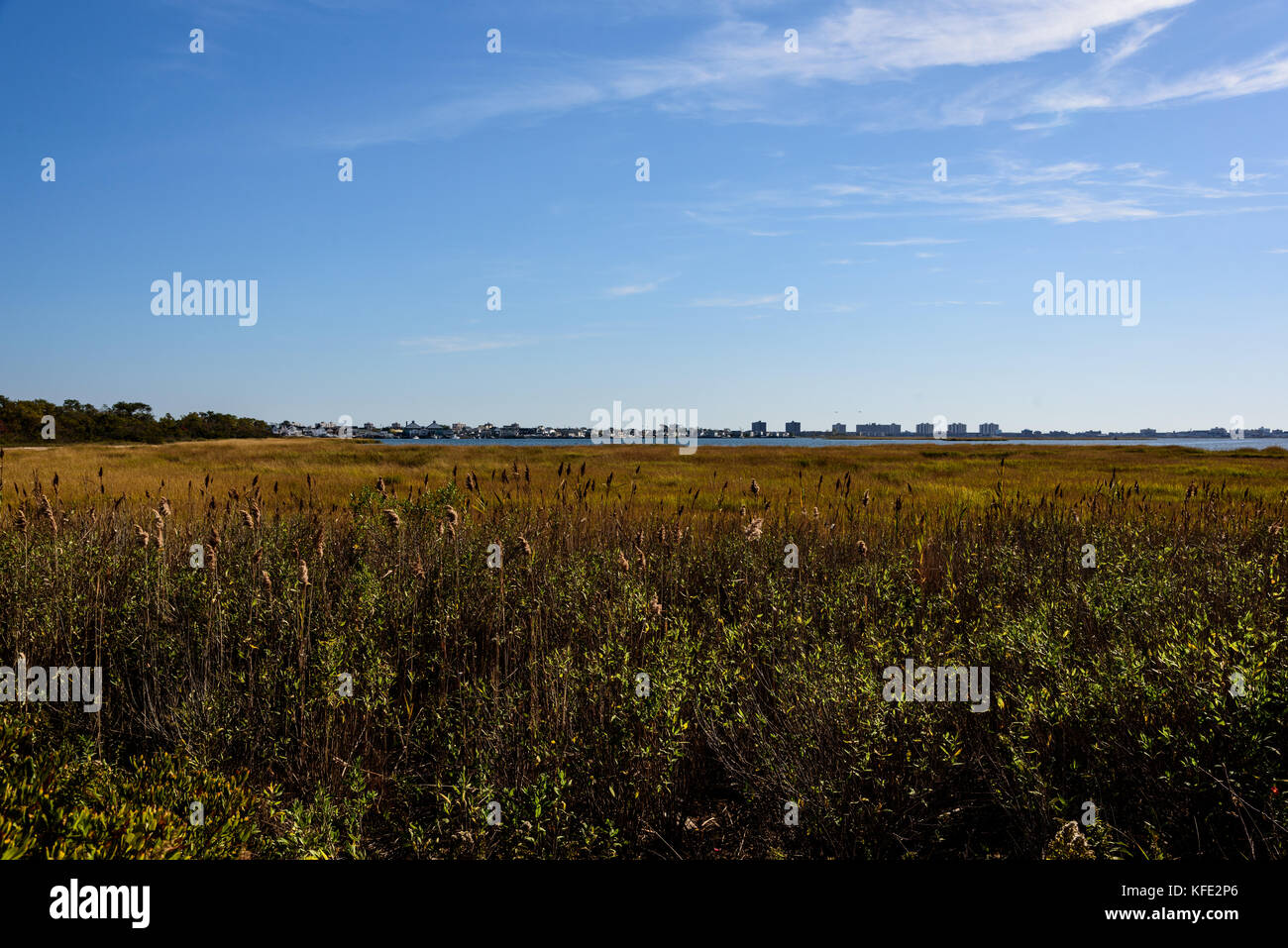 Fall on Jamaica Bay, Queens, New York Stock Photo