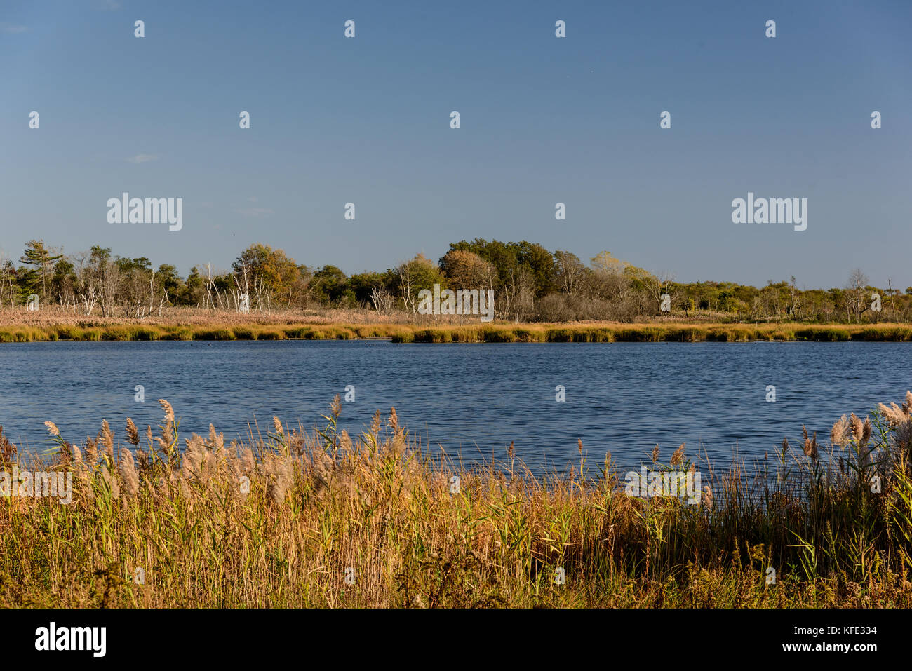 Fall on Jamaica Bay, Queens, New York Stock Photo Alamy