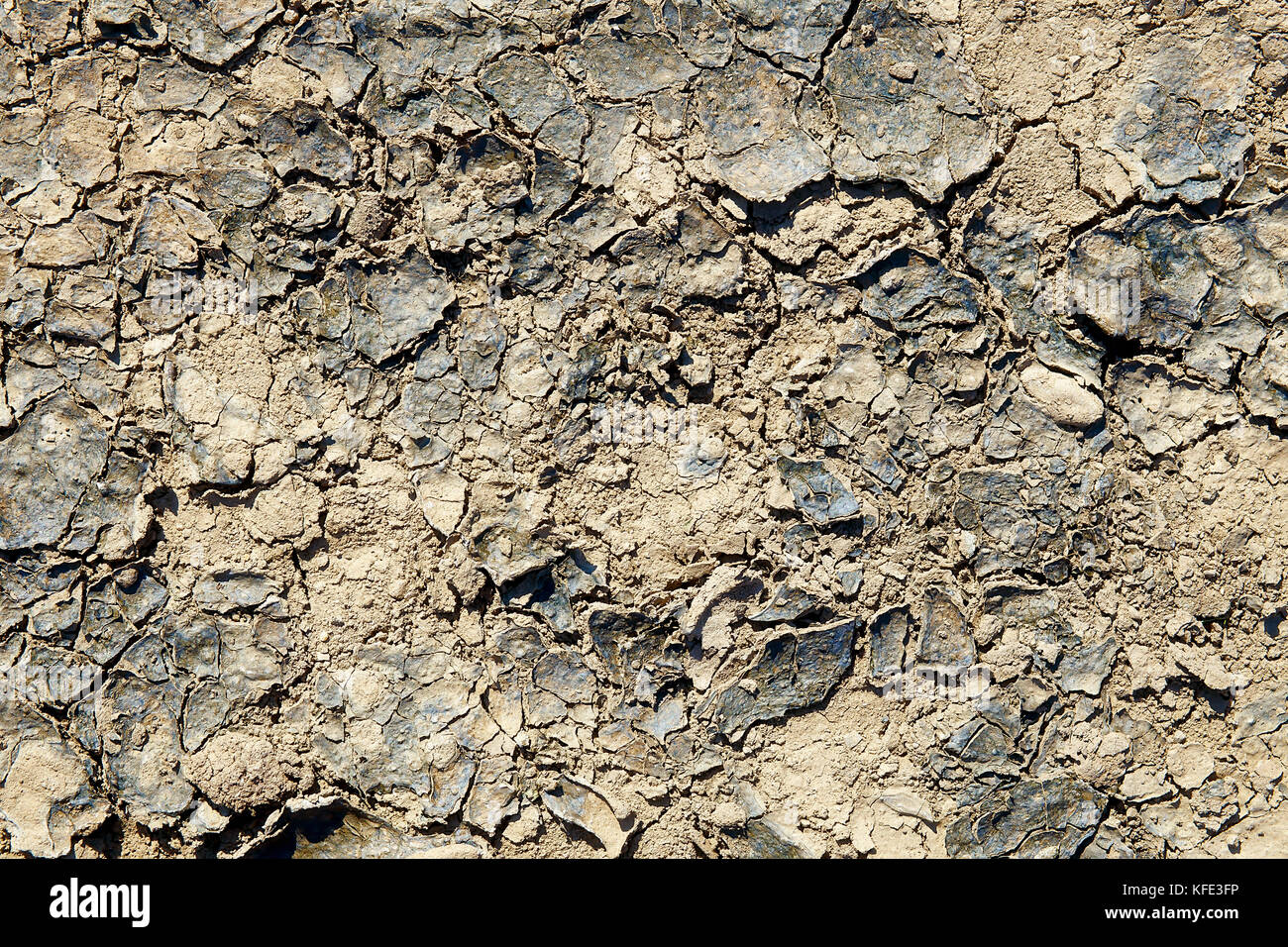 texture of the crackled clay in the desert Stock Photo Alamy