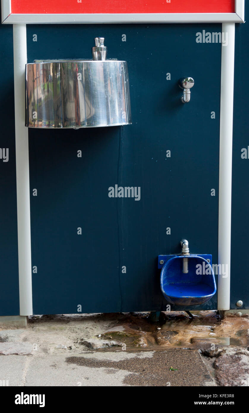 Drink water tap for peoples and dogs Stock Photo Alamy