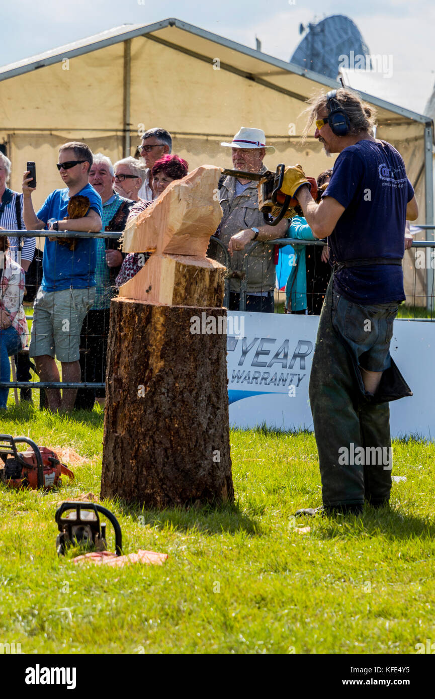 The 13th English open chainsaw carving competition at Cheshire Game and