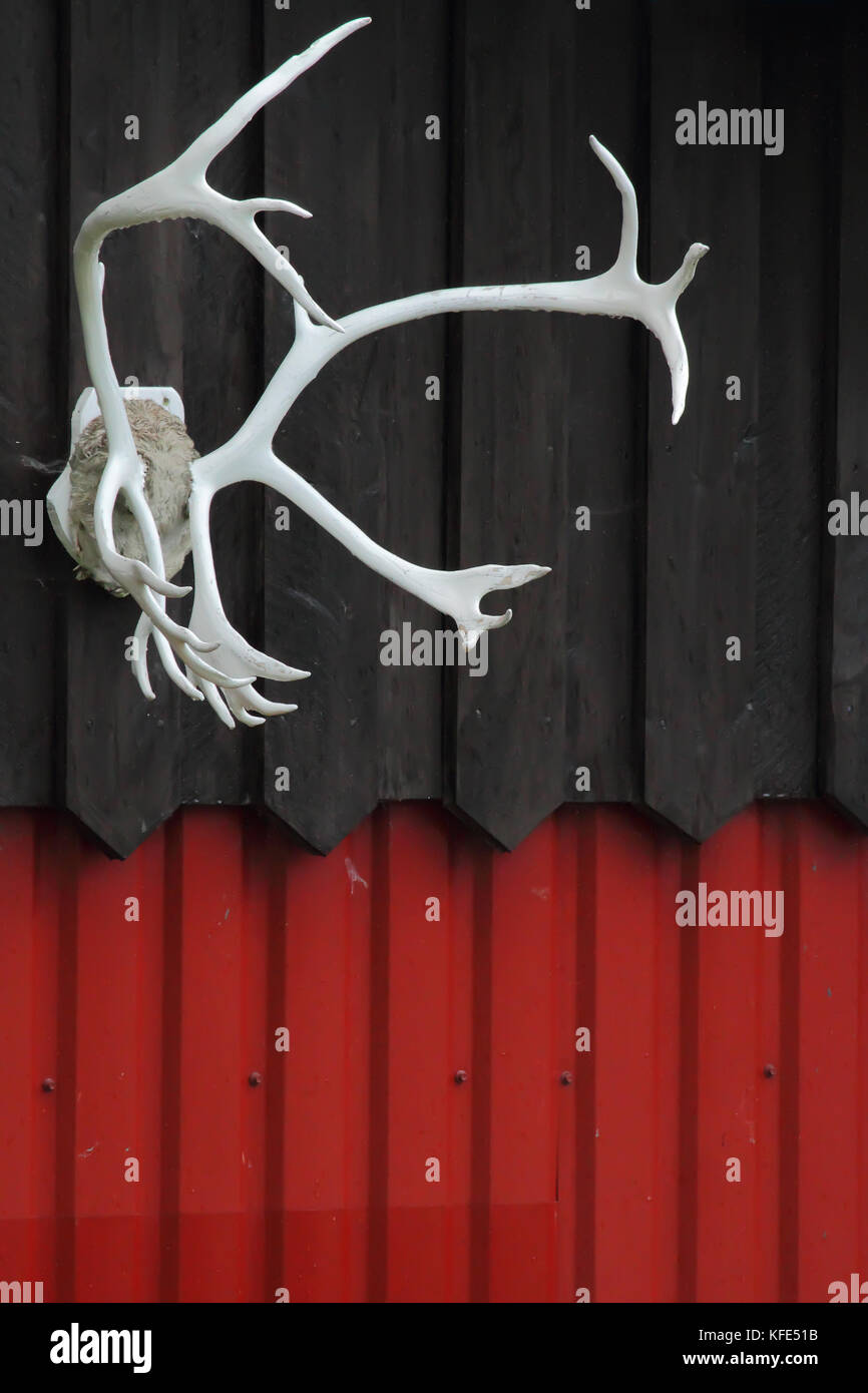 Reindeer antlers in a wall of a norwegian house Stock Photo