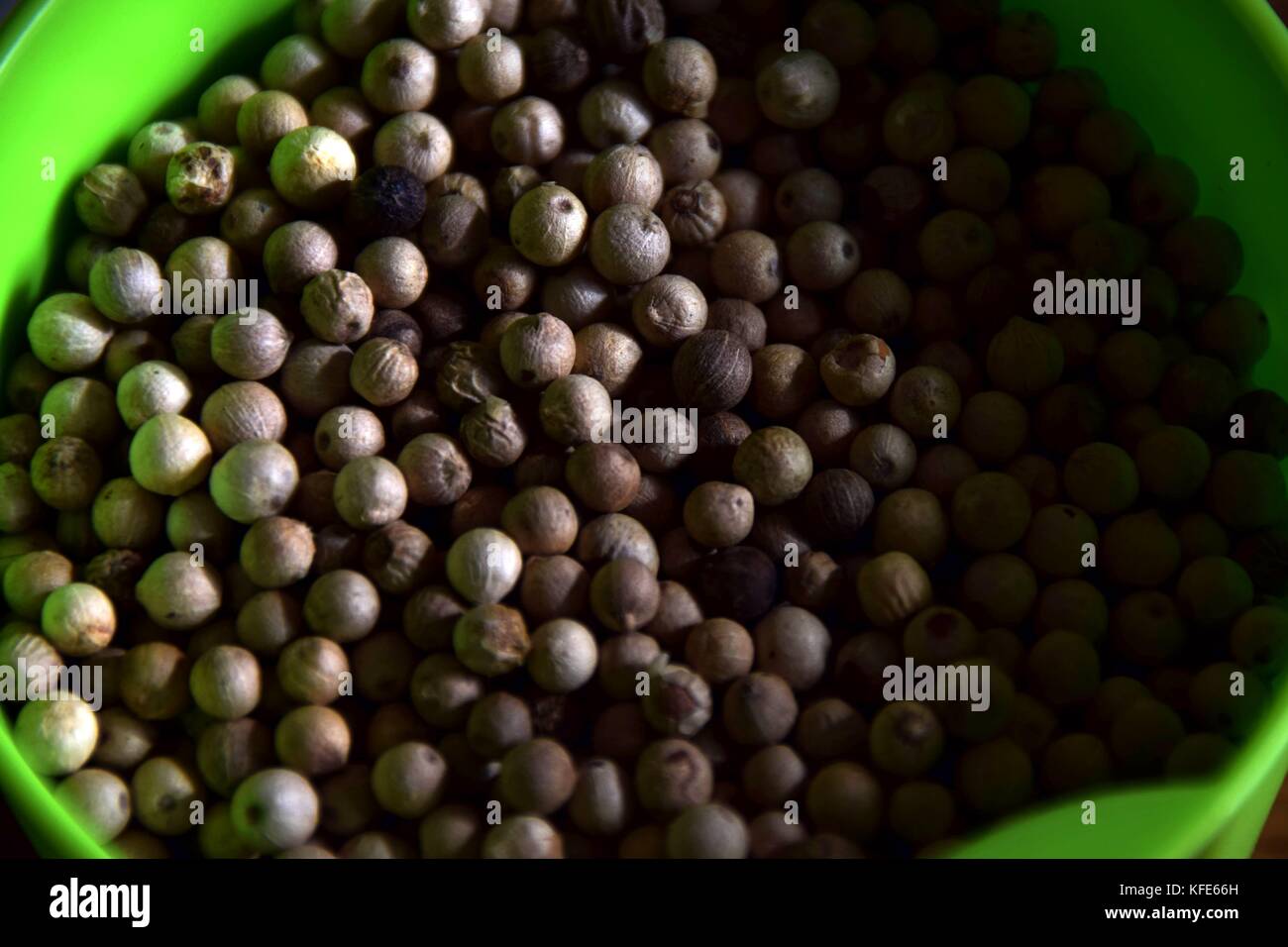 grains of pepper, white peppercorns in a green box Stock Photo