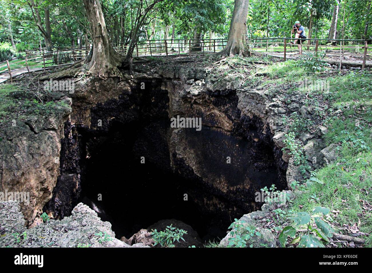 The largest bat species hi-res stock photography and images - Alamy